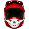 CAPFOXV1RACVERM_4 